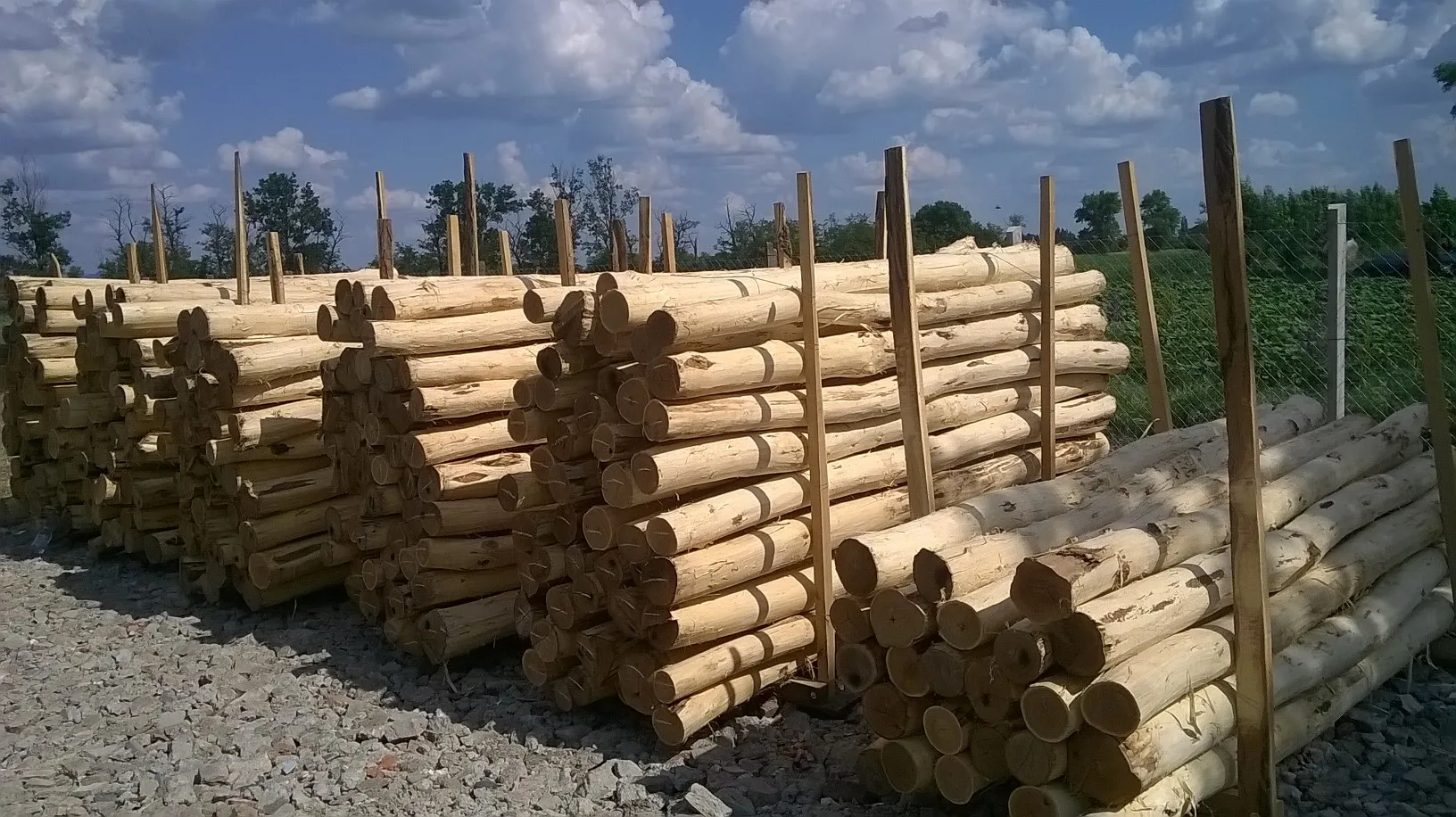 Akazienpfähle