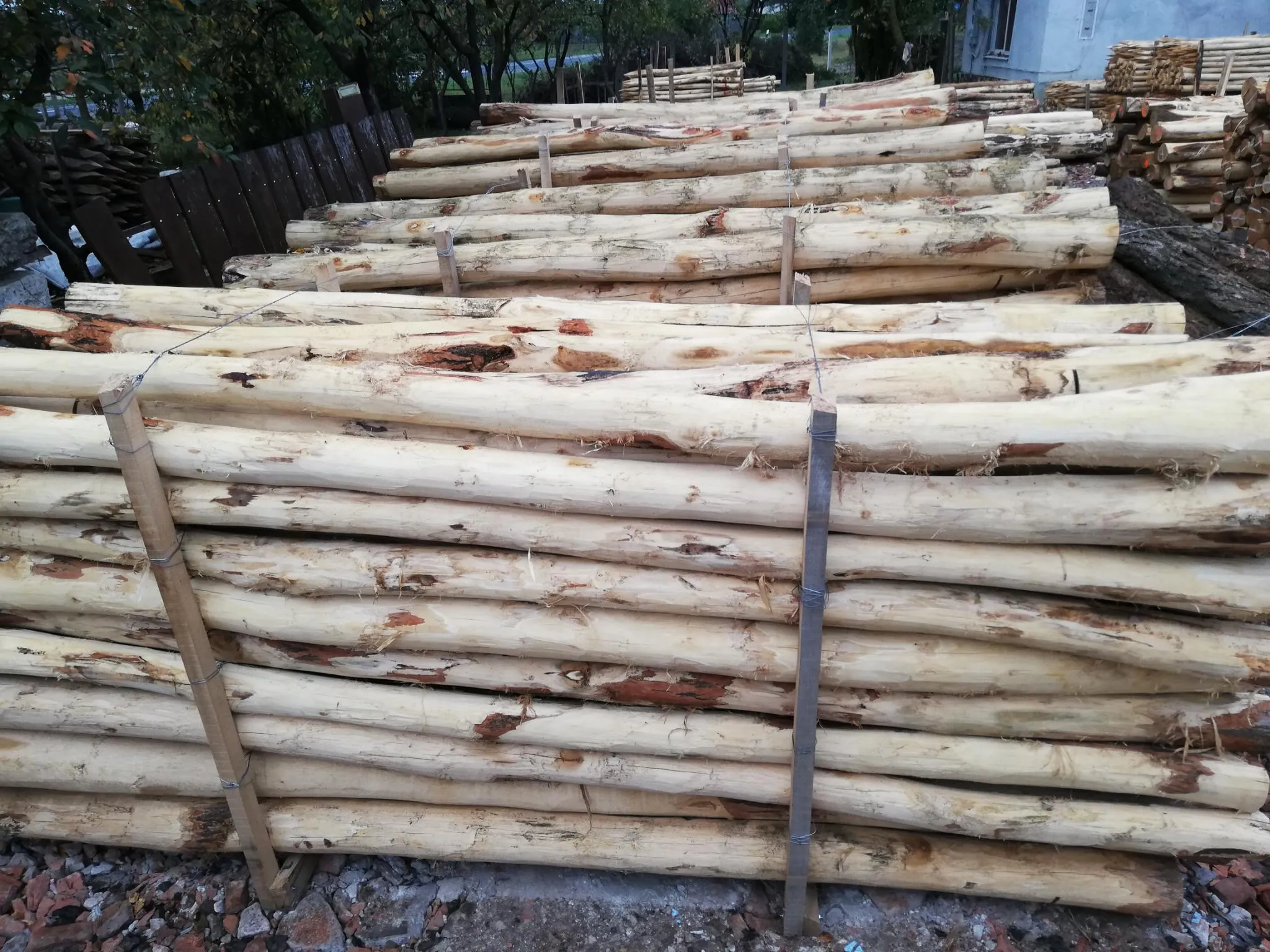 Akazienpfähle