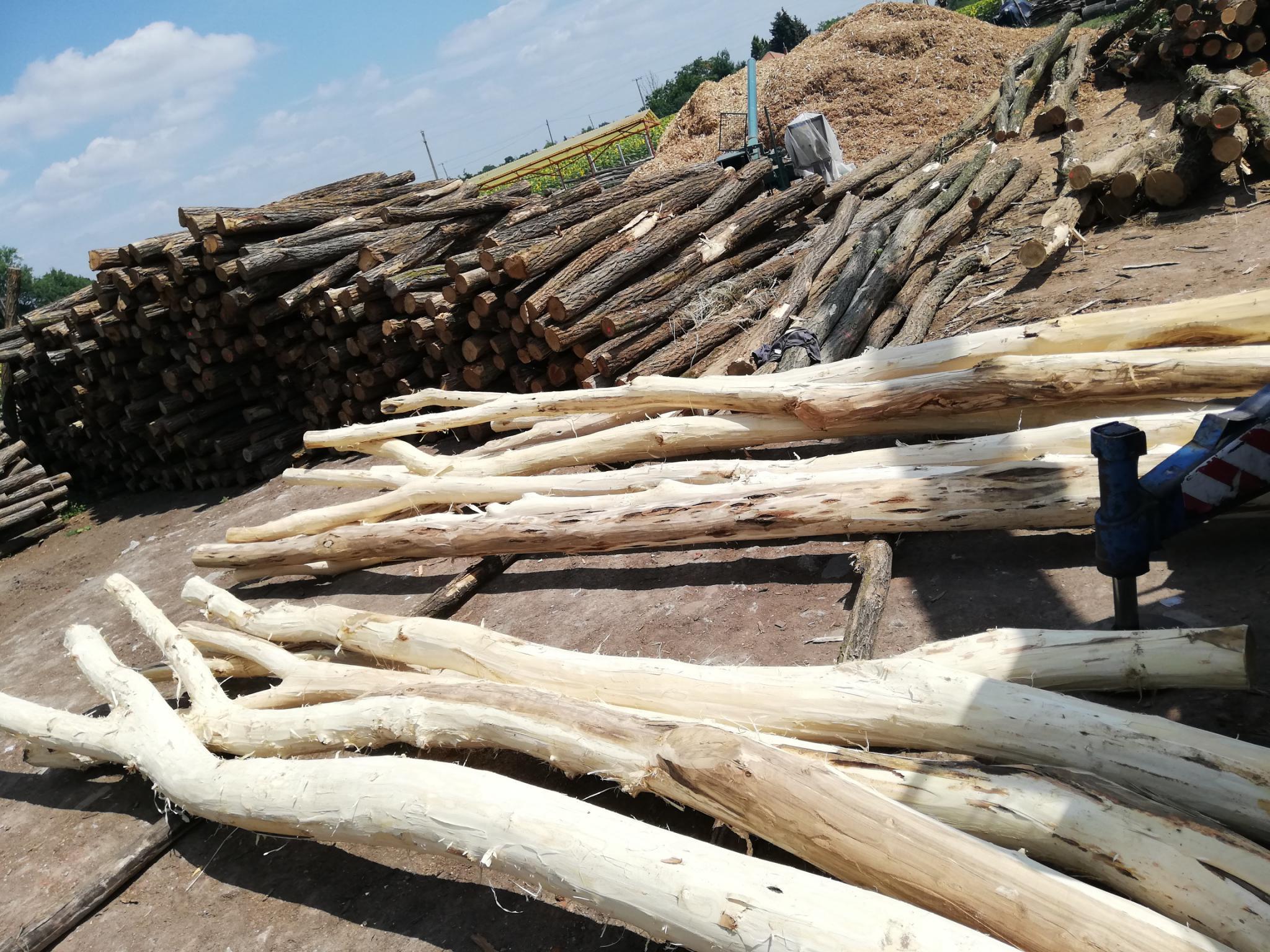 Garten-und Landschaftsbau Garten-und Landschaftsbau