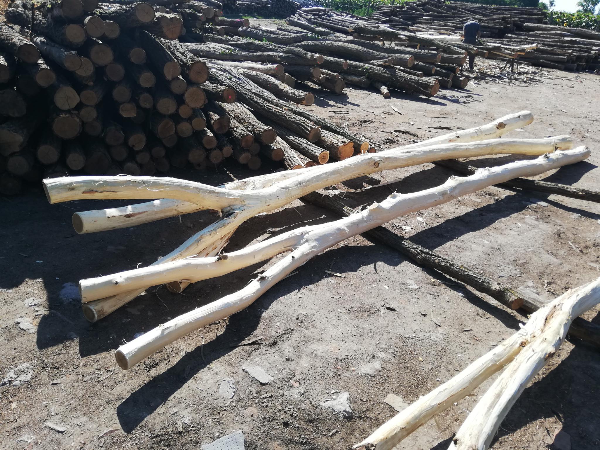 Garten-und Landschaftsbau Garten-und Landschaftsbau