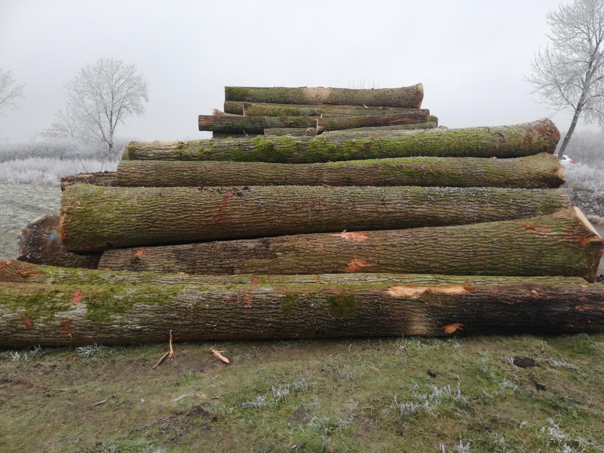 Sonstige Produkte aus Akazienholz