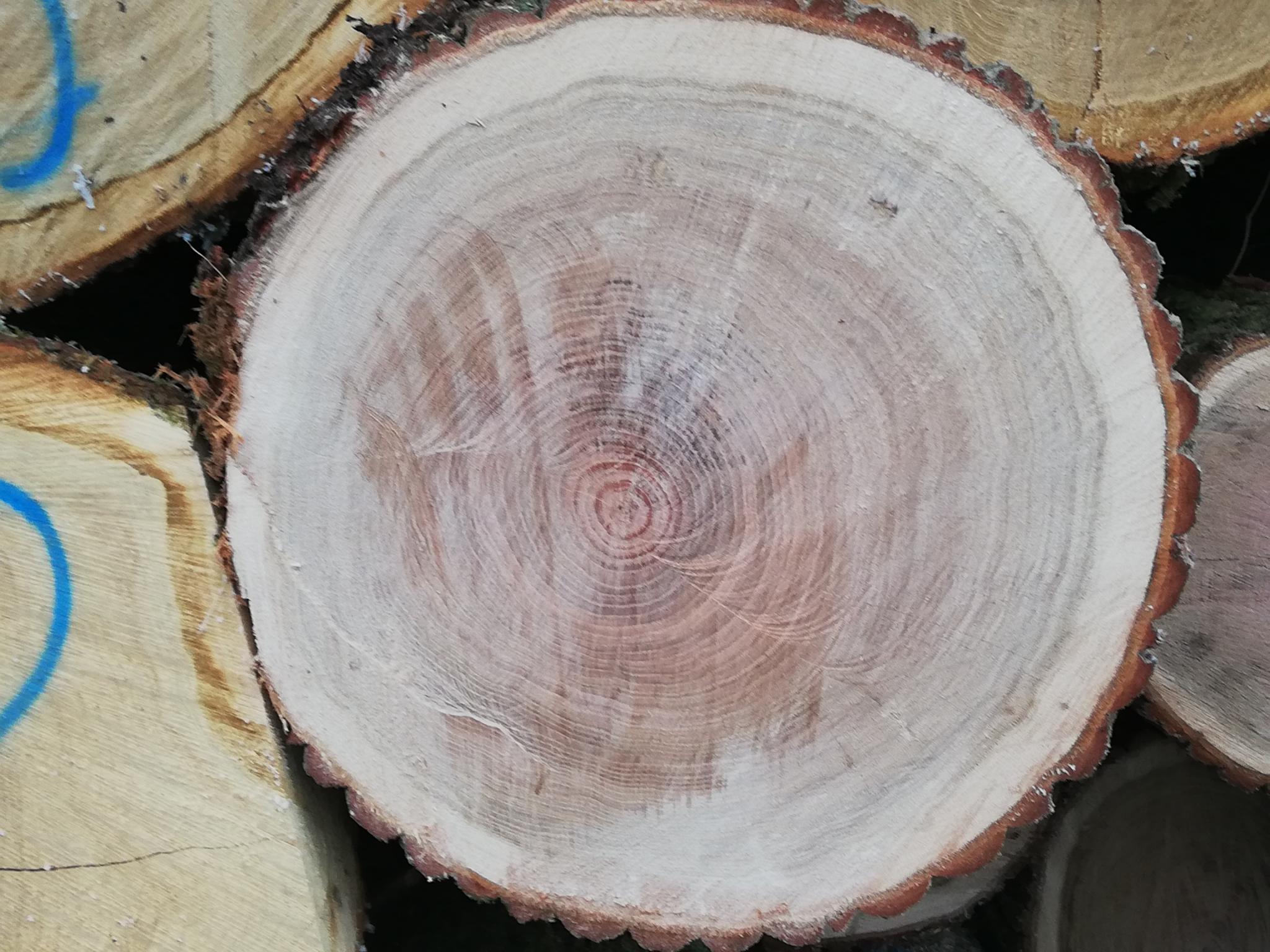 Sonstige Produkte aus Akazienholz